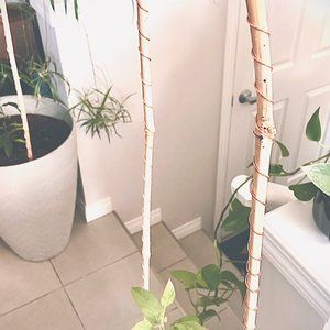 Electroculture bamboo copper plant antennas